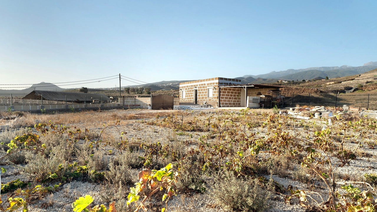 Photo of Outdoor in Granadilla de Abona