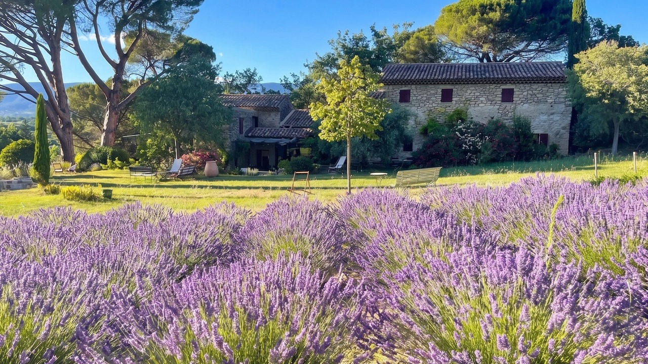 Photo of Outdoor in Ansouis