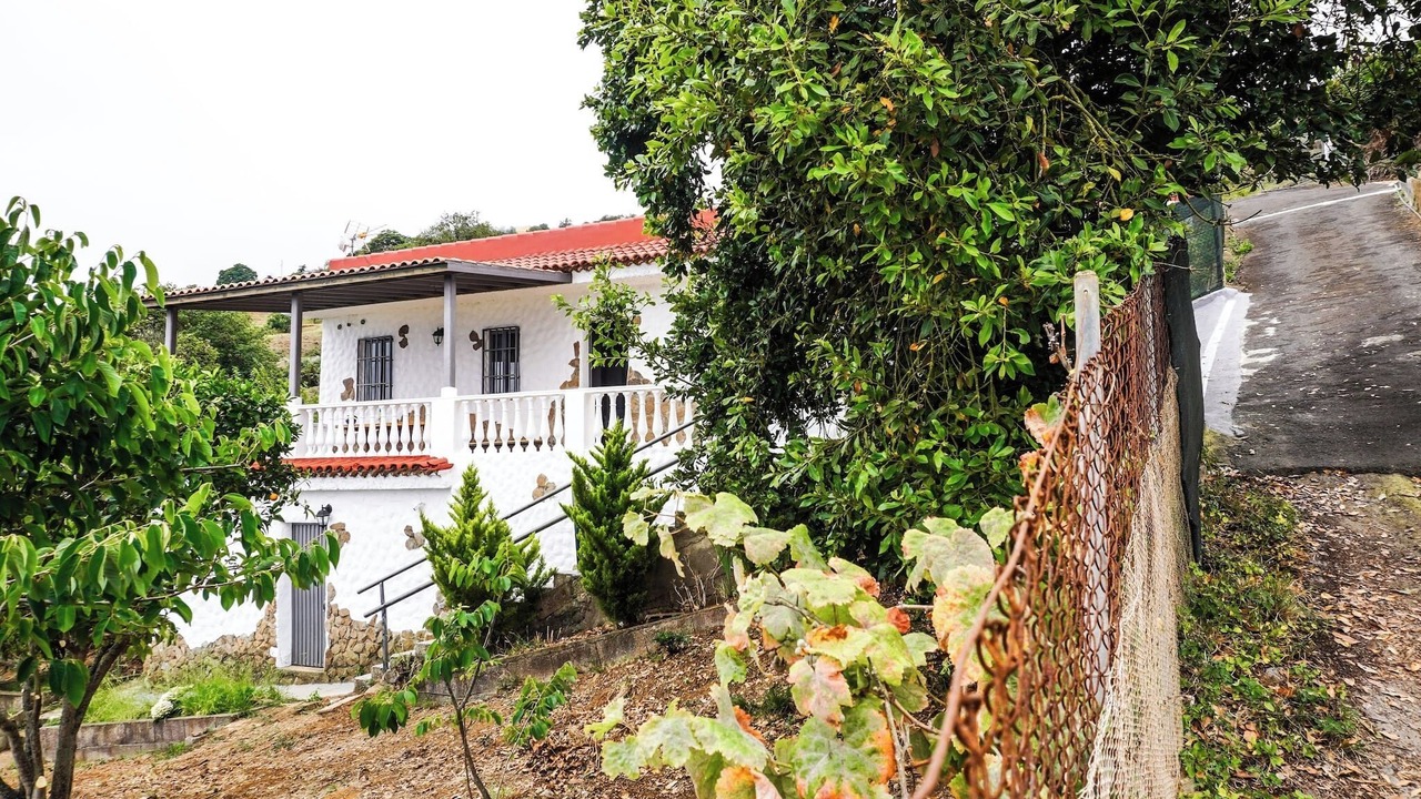 Photo of Outdoor in La Orotava