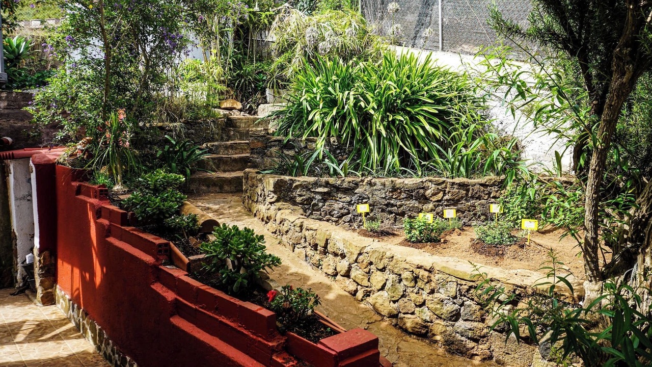 Photo of Outdoor in La Orotava