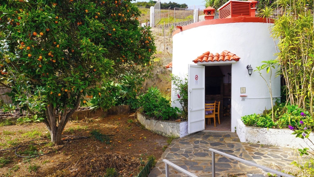 Photo of Outdoor in La Orotava