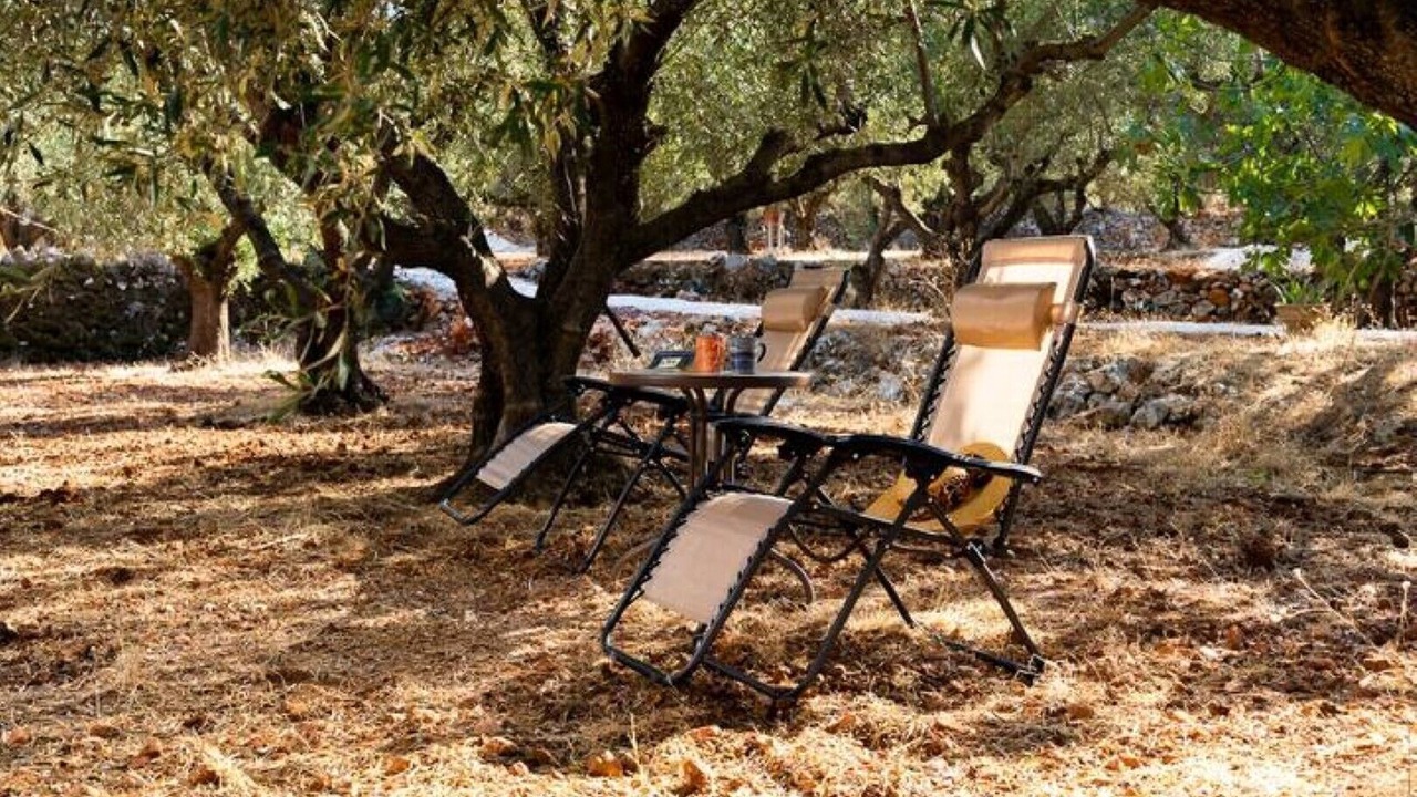 Photo of Outdoor in Elation