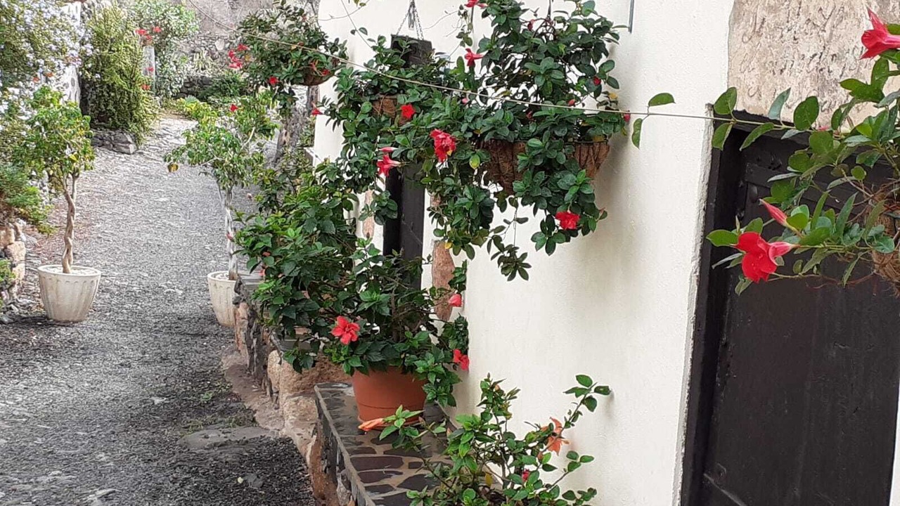 Photo of Outdoor in Valle de San Lorenzo