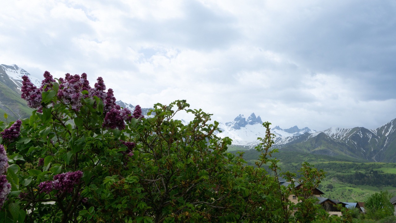 Photo of Others in Albiez-Montrond