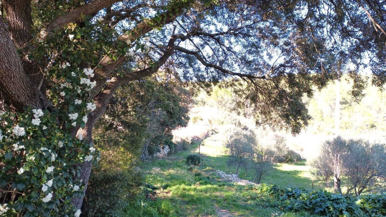 Photo of Outdoor in Carnoules