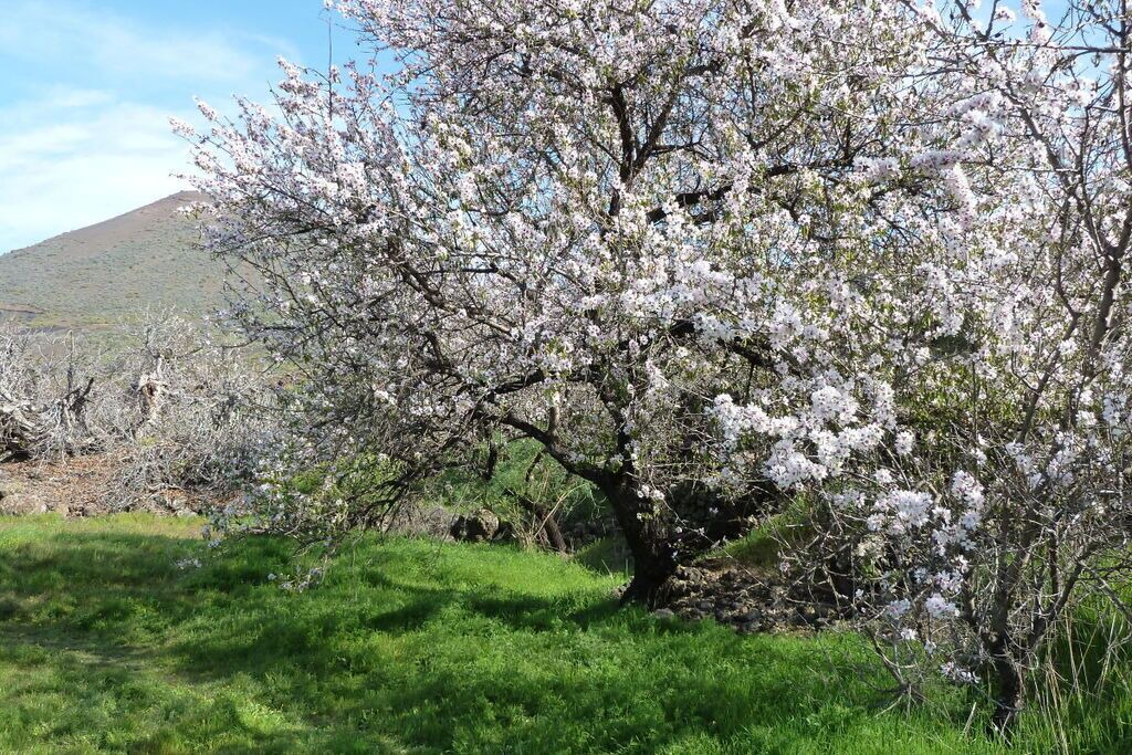 Photo of Outdoor in La Corujera