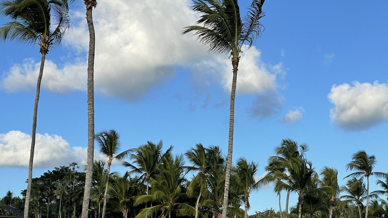 Photo of Others in Casa de Campo
