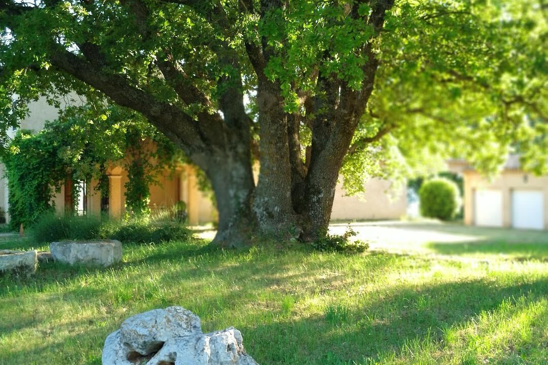 Photo of Outdoor in Regusse