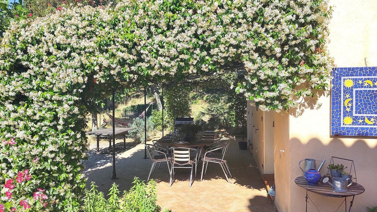 Photo of Outdoor in Lorgues