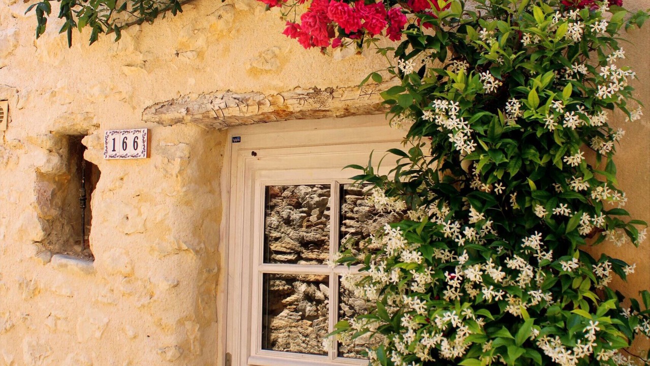 Photo of Outdoor in Malaucene