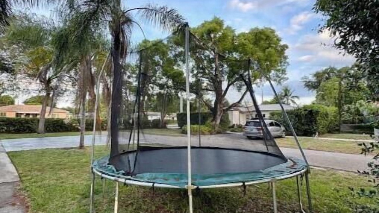 Photo of Outdoor in Miami Shores