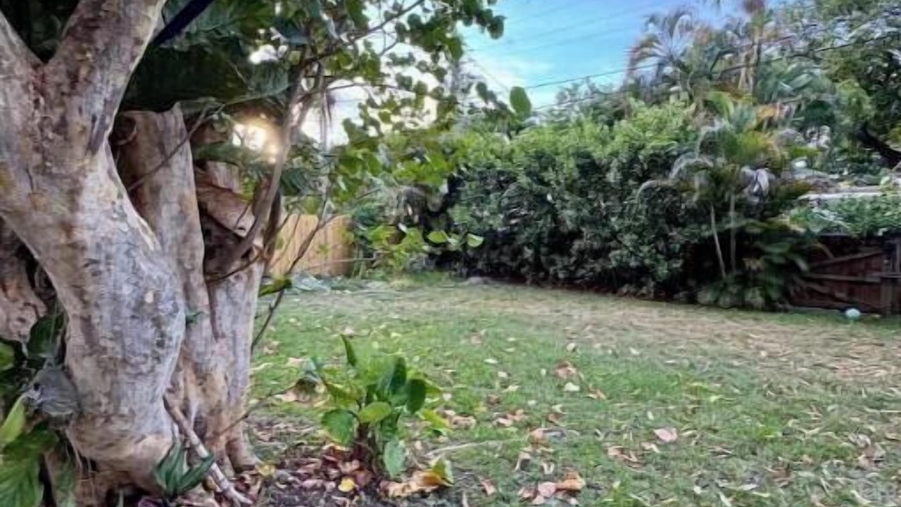 Photo of Outdoor in Miami Shores
