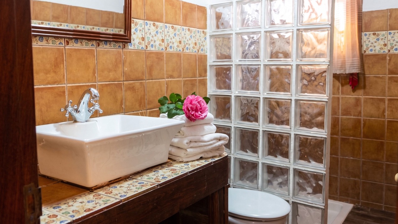 Photo of Bathroom in Los Silos
