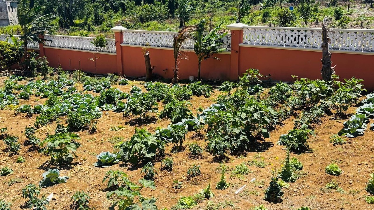 Photo of Outdoor in Silver Sands