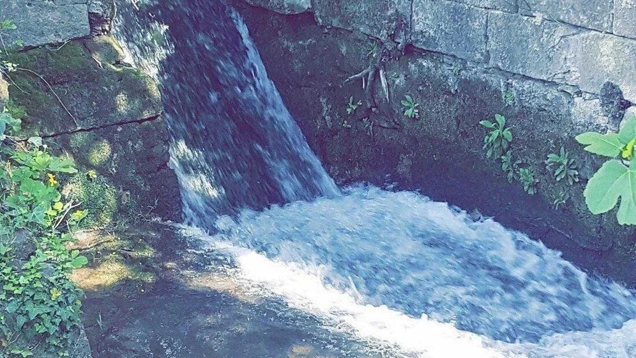 Photo of Outdoor in Orange