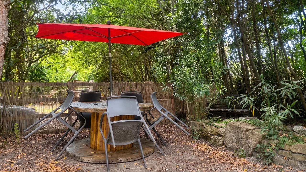 Photo of Outdoor in Orange