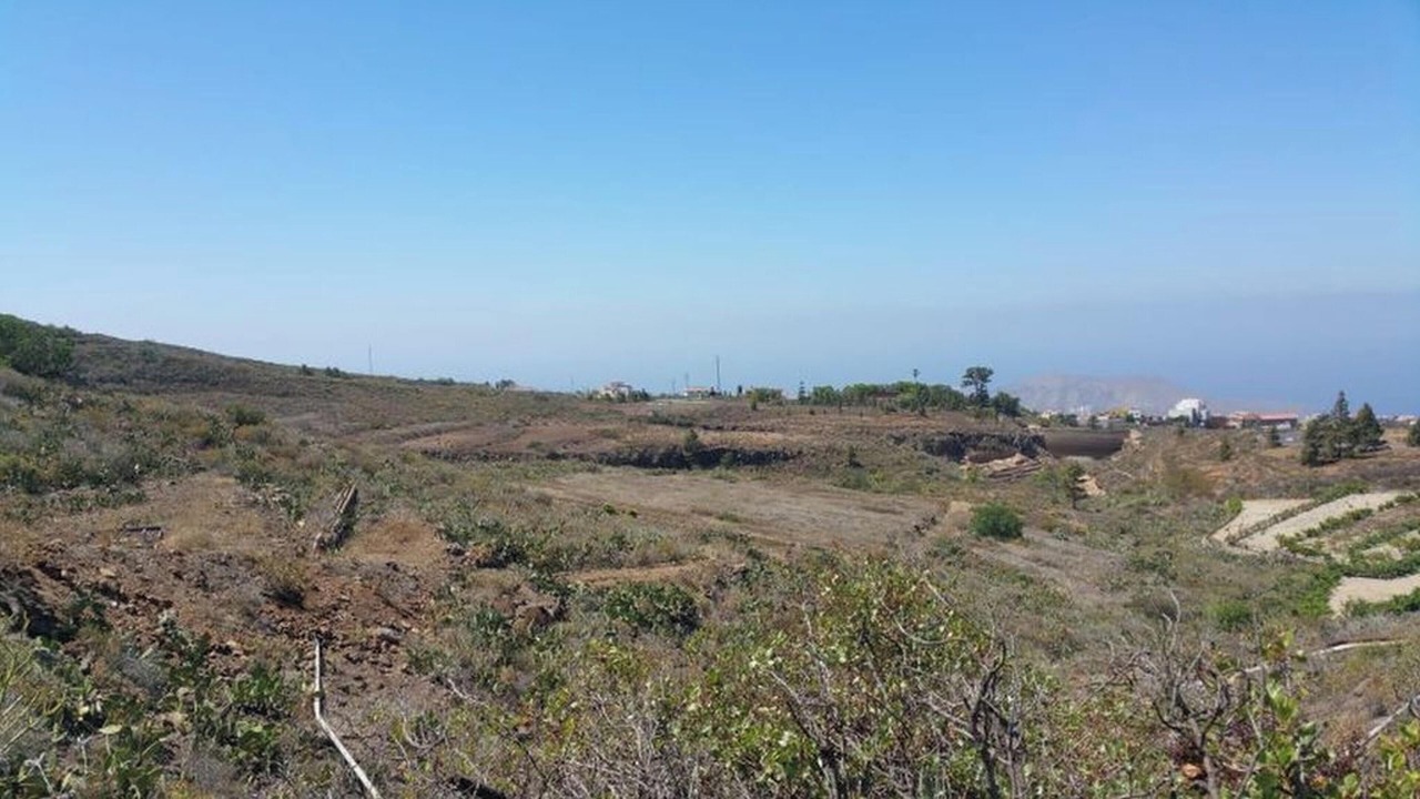 Photo of Others in El Madronal