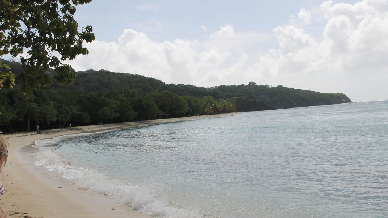 Photo of Others in Rayol-Canadel-sur-Mer