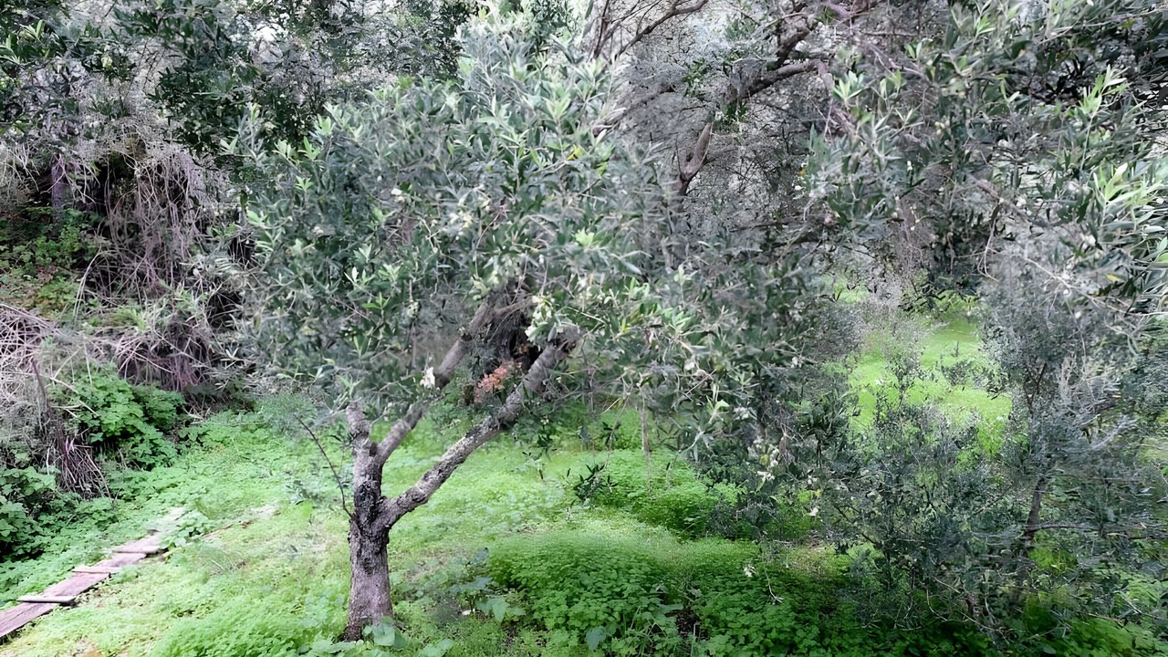 Photo of Outdoor in Skala