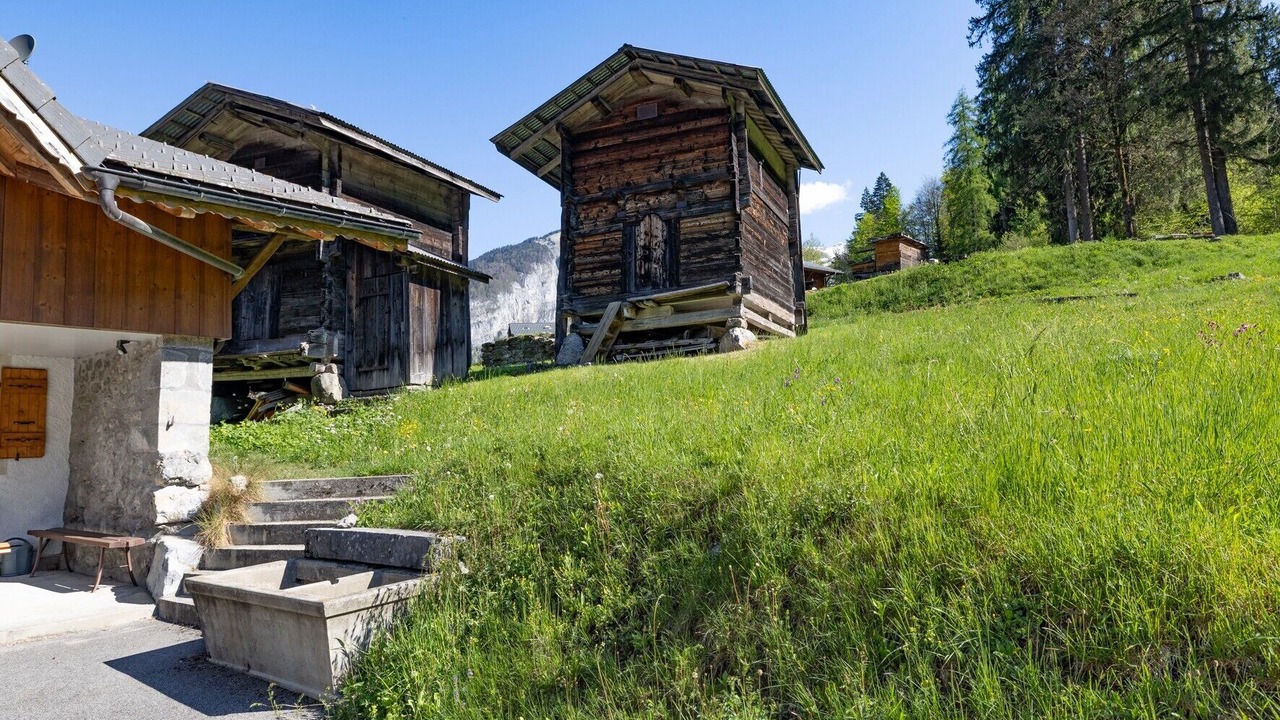 Photo of Outdoor in Sixt-Fer-a-Cheval