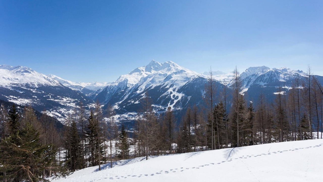 Photo of Others in La Rosiere