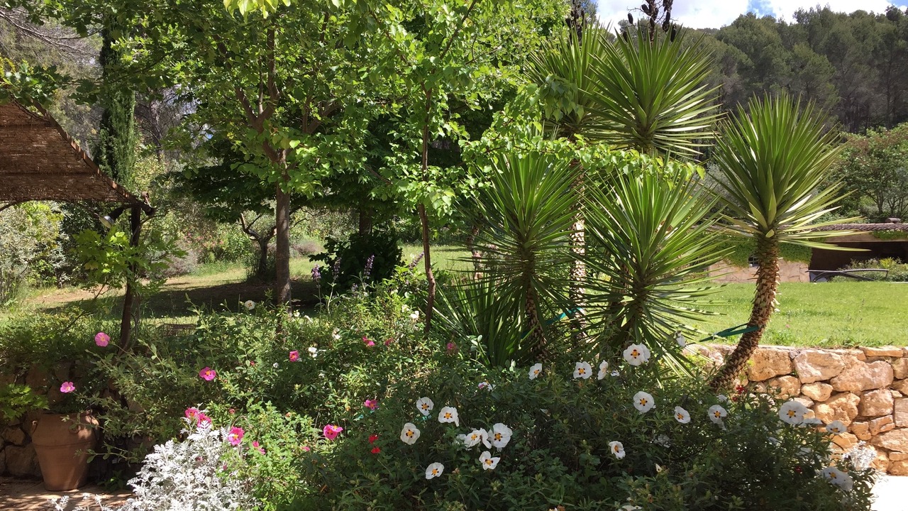 Photo of Outdoor in Le Tholonet
