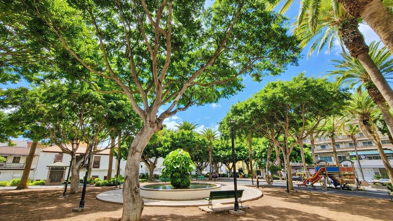 Photo of Outdoor in Puerto de la Cruz