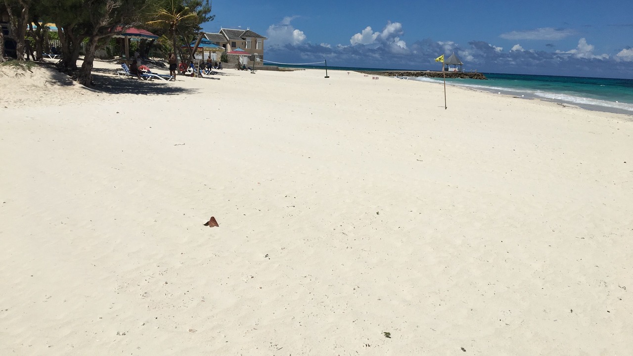 Photo of Others in Silver Sands