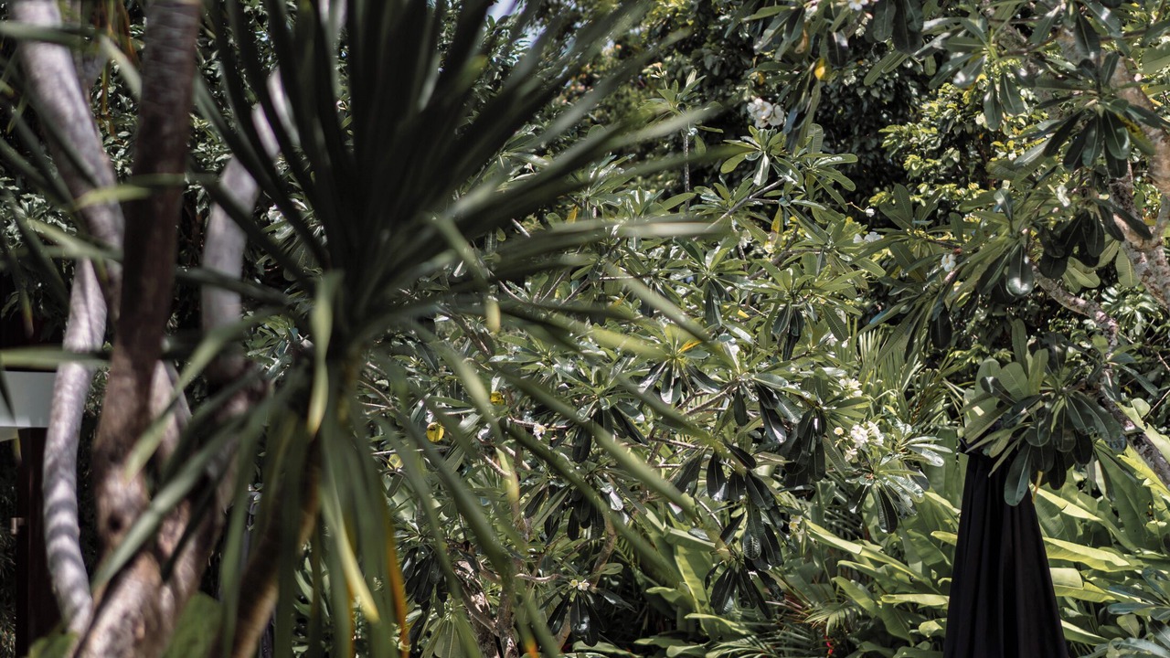 Photo of Outdoor in Petitenget