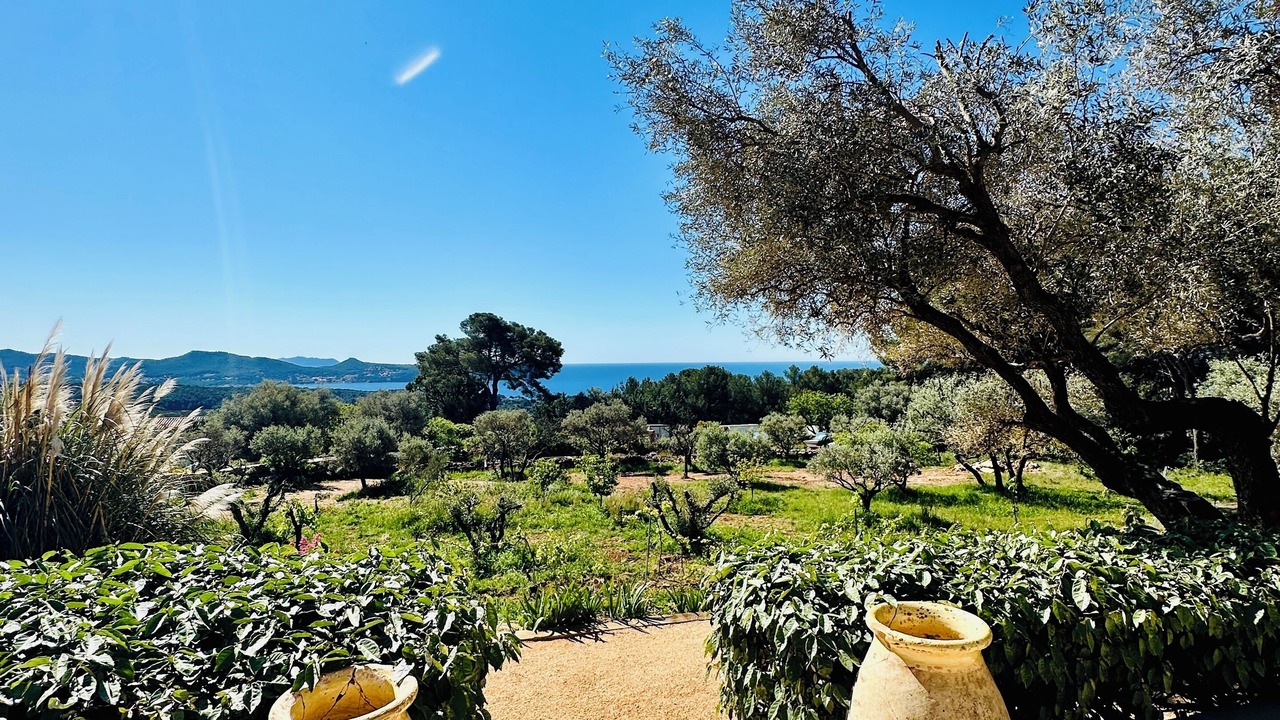 Photo of Outdoor in La Ciotat