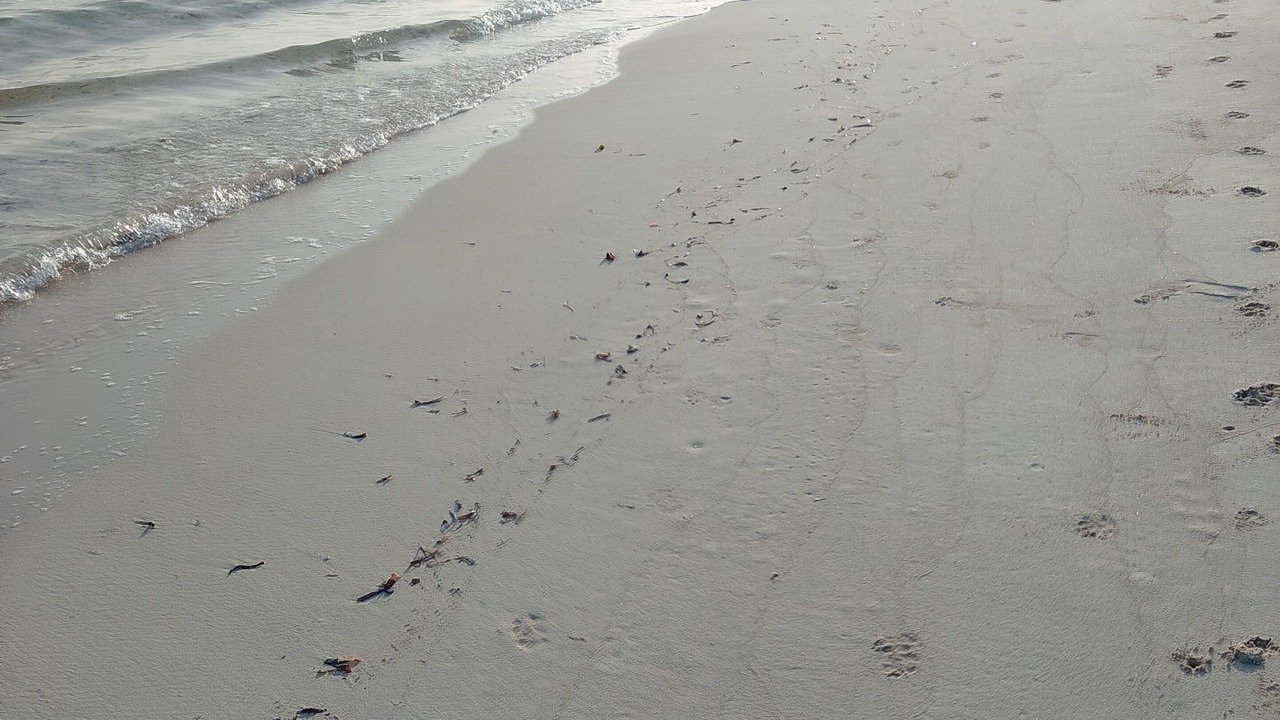 Photo of Others in Silver Sands