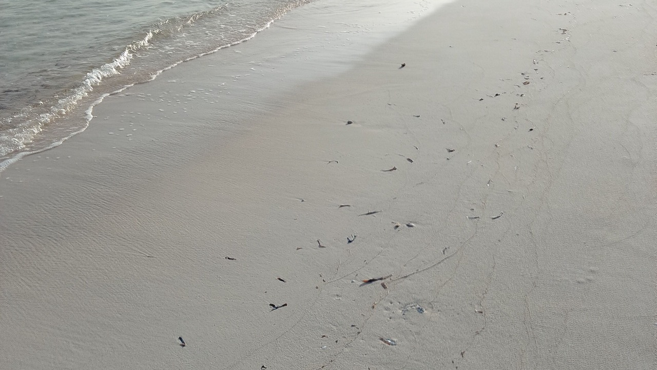 Photo of Others in Silver Sands
