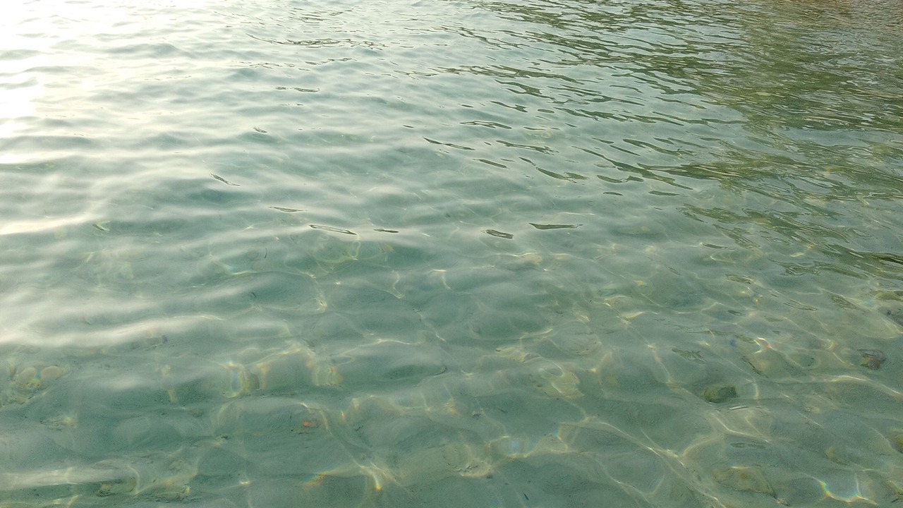 Photo of Others in Silver Sands