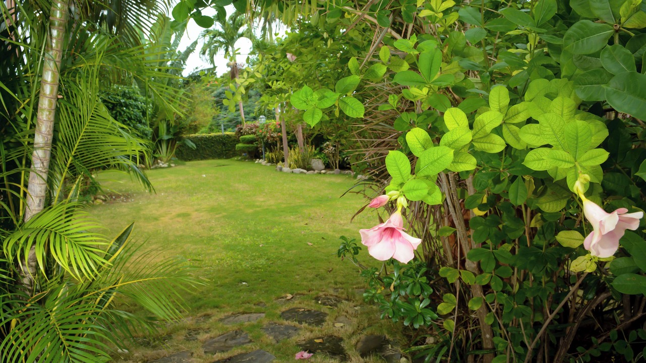 Photo of Outdoor in Runaway Bay