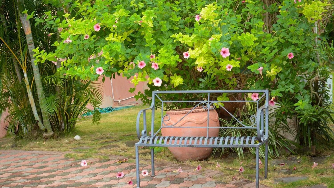 Photo of Outdoor in Runaway Bay