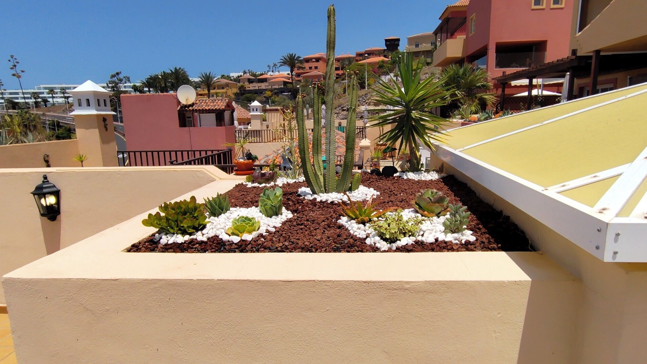 Photo of Outdoor in El Duque