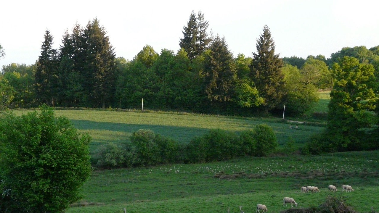 Photo of Others in Preveranges