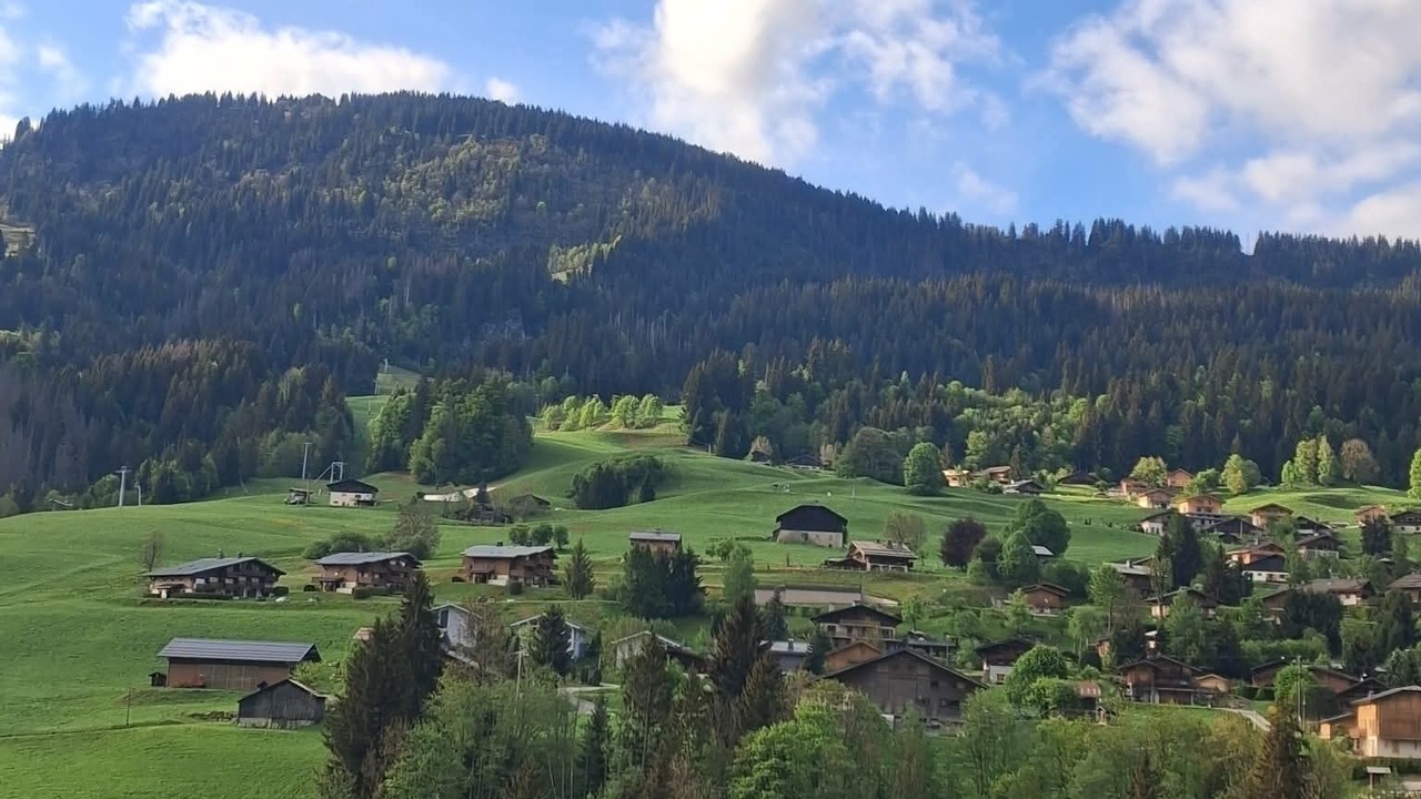 Photo of Outdoor in Praz-sur-Arly