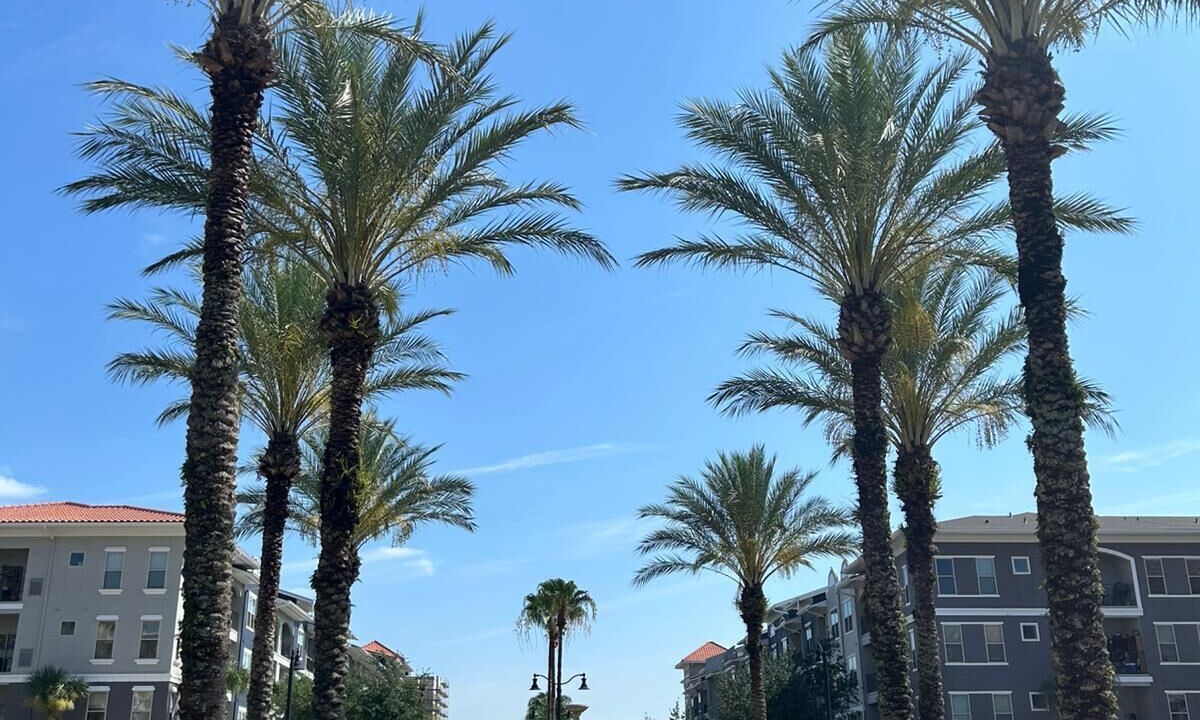 Photo of Outdoor in Orlando