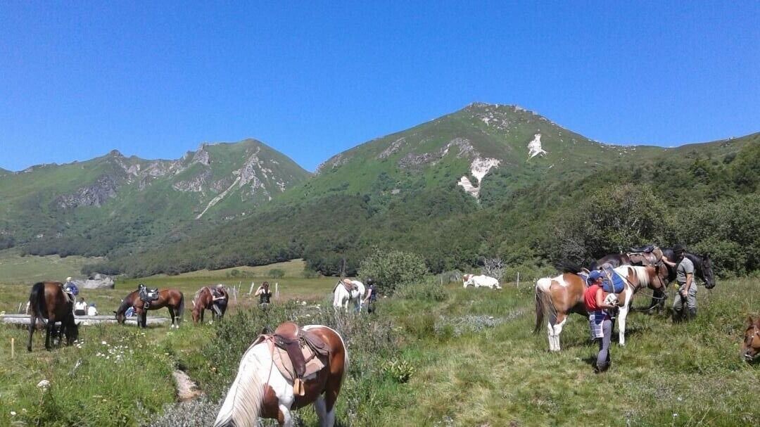 Photo of Others in Besse-en-Chandesse