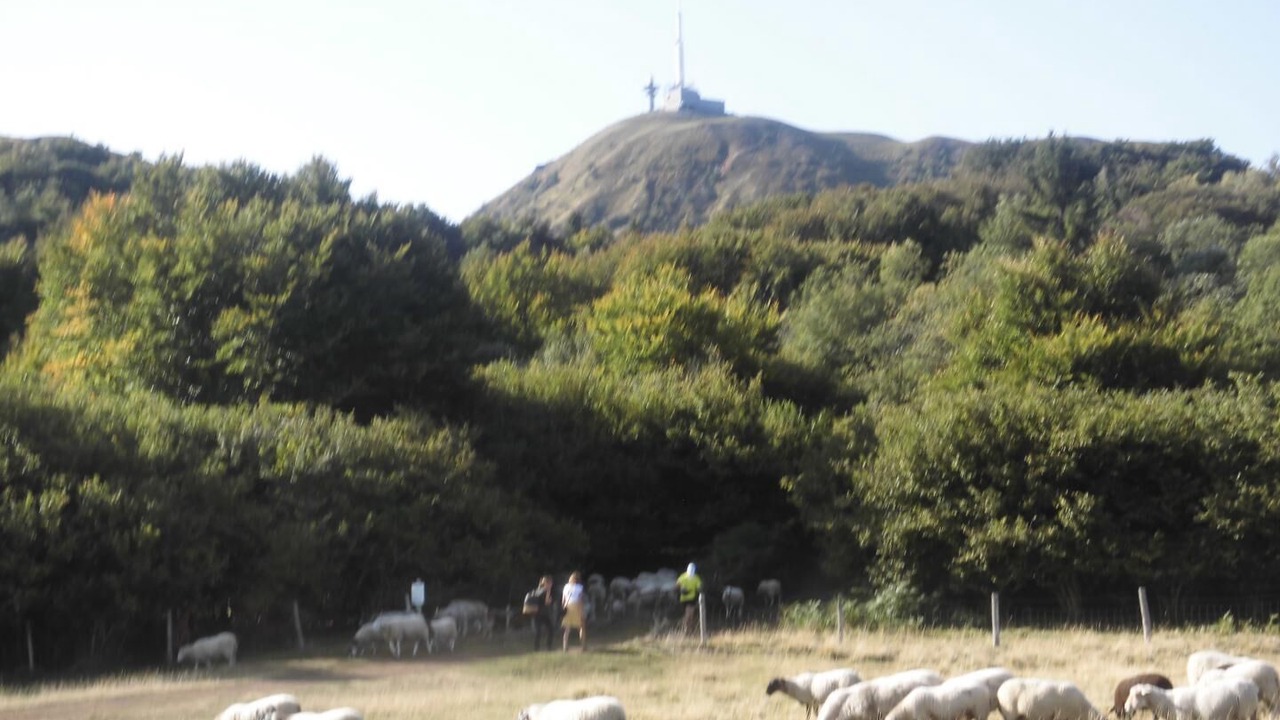 Photo of Others in Besse-en-Chandesse