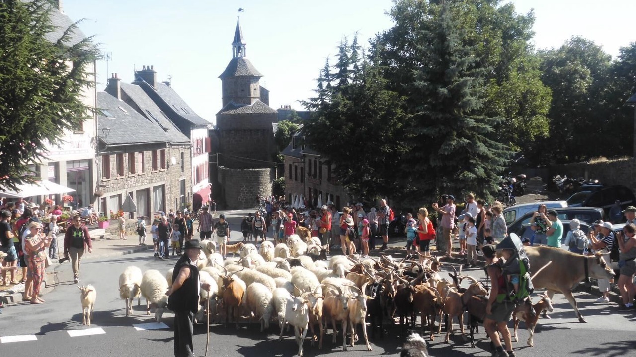 Photo of Others in Besse-en-Chandesse