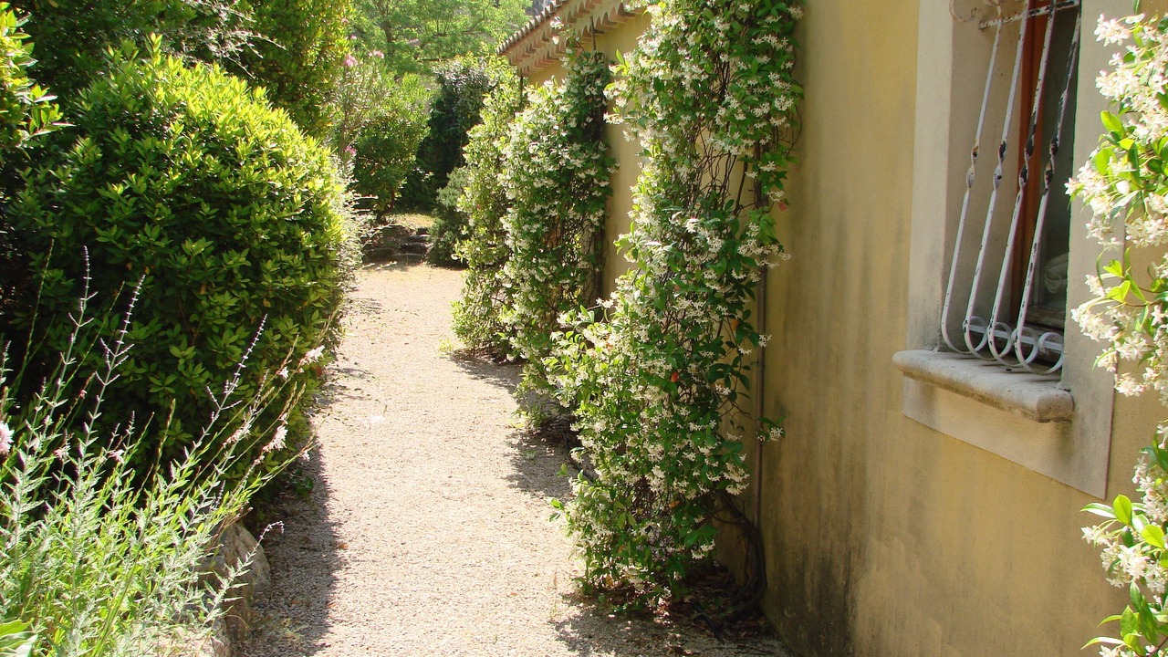 Photo of Others in Cadenet