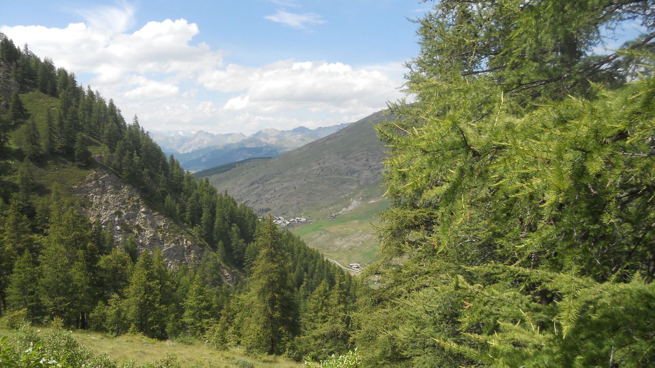 Photo of Others in Molines-en-Queyras