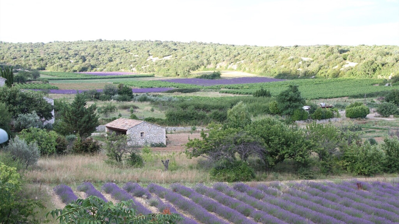 Photo of Outdoor in Bidon