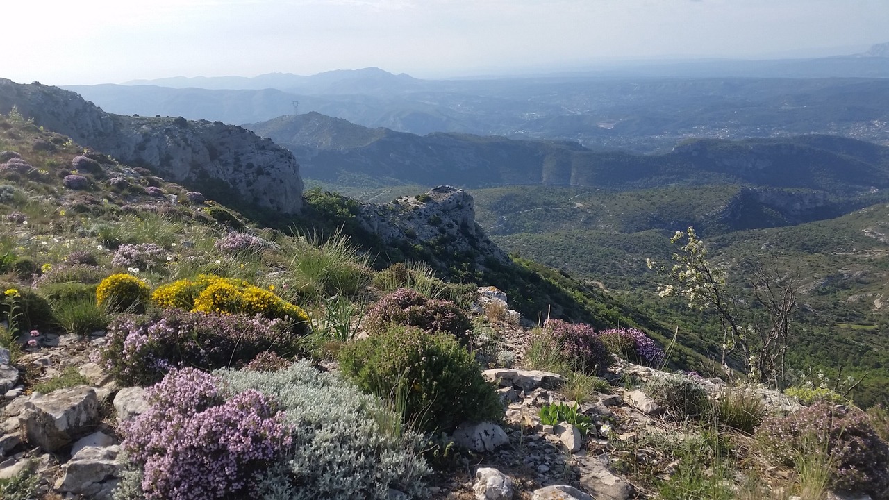 Photo of Outdoor in Plan-d'Aups-Sainte-Baume
