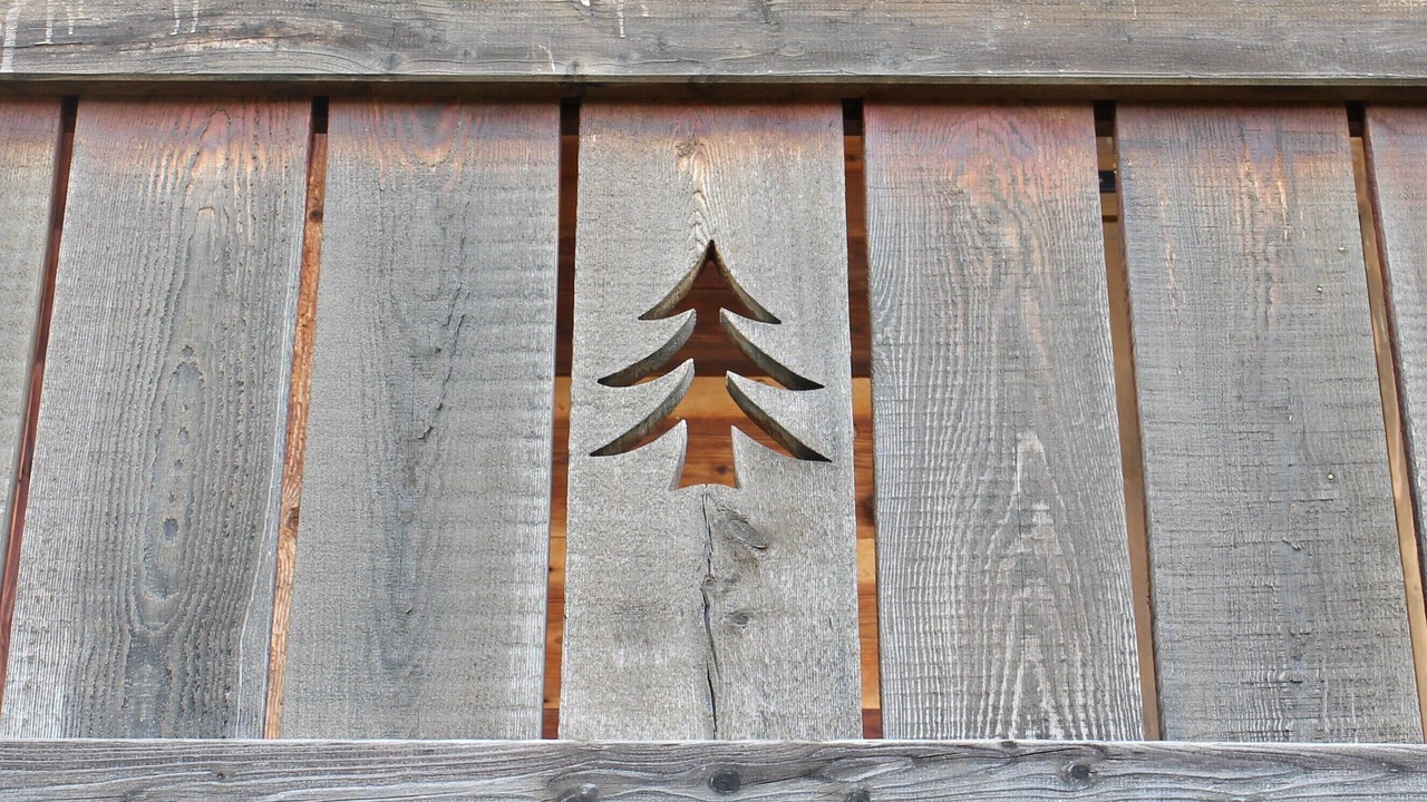 Photo of Outdoor in Combloux
