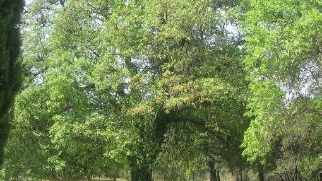 Photo of Outdoor in Nans-les-Pins