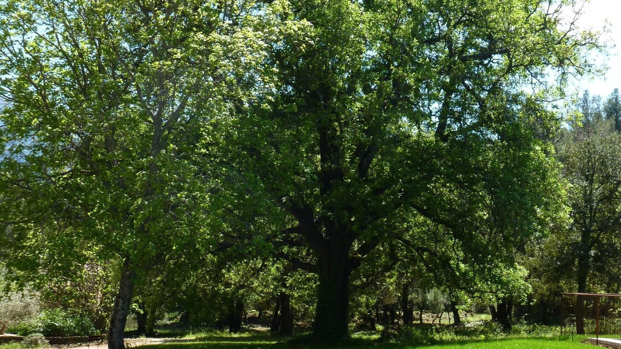Photo of Outdoor in Nans-les-Pins
