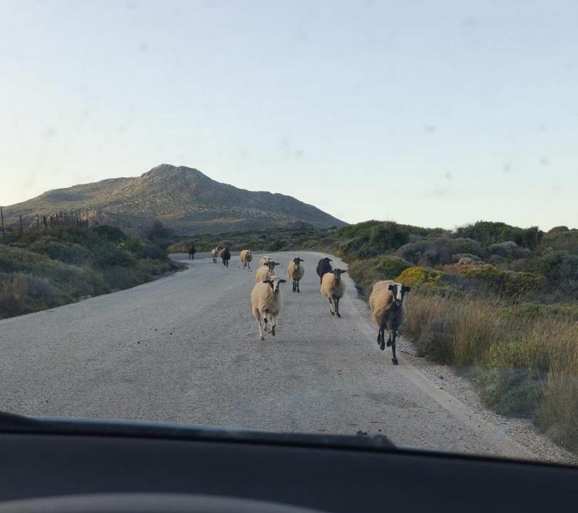 Photo of Others in Kato Zakros
